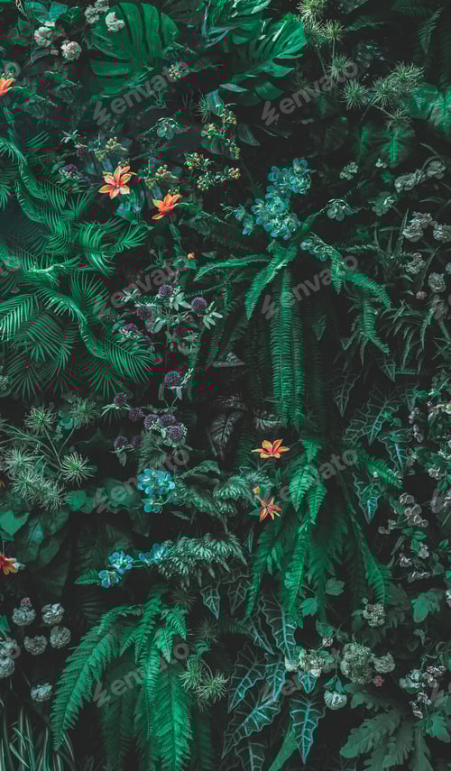 Preview: Herb wall, plant wall, natural green wallpaper and background.