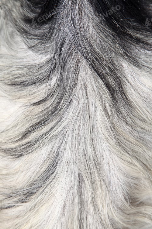 Preview: goat hair