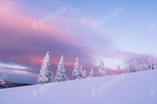 Preview: Christmas landscape with fir tree in the snow