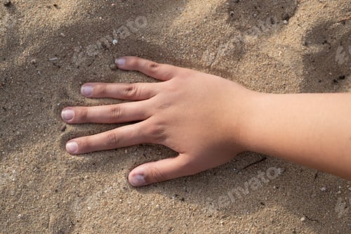 Preview: Hand on the beach sand