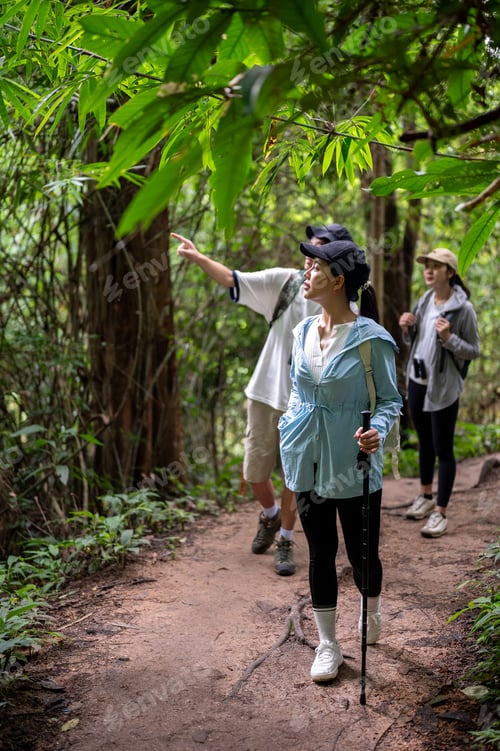 Preview: Woman tourist walking holding a cane and talking with a man friend during forest hiking or trekking.