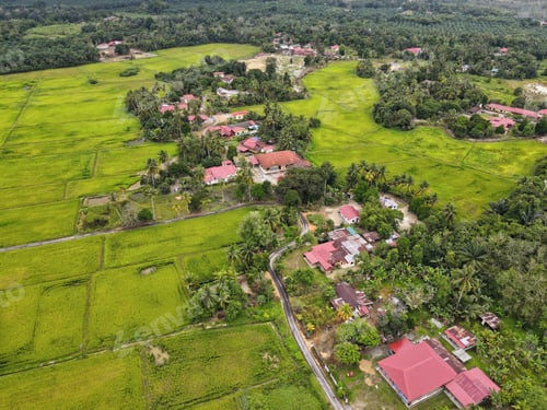 Preview: Padi fields in a village