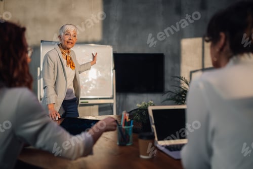 Preview: A professional mature female manager having presentation at boardroom.