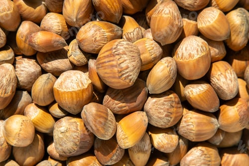 Preview: Hazelnut bowl food