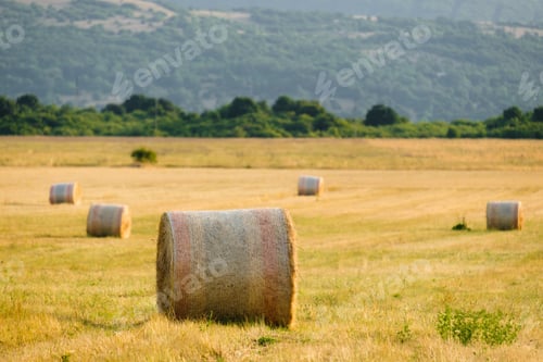 Preview: Landscape with wheat straw bales against blurry mountains