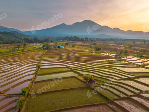 Preview: Beautiful morning view in Indonesia, panoramic landscape of rice fields with mountain