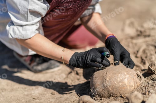 Preview: Archaeological Excavations of an Ancient Human Skeleton