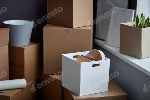 Preview: Domestic things packing for relocation