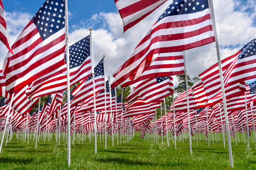 Preview: Field of Flags Under a Bright Sky