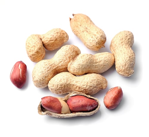 Delicious Peanuts Still in Shells and Out