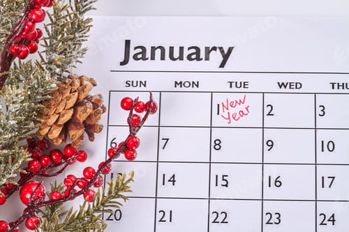 Preview: January calendar with christmas tree with cone and red berries.
