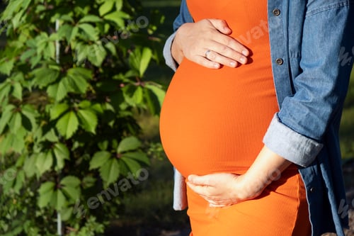 Preview: Pregnant woman in orange dress and jeans shirt hold her big tummy with hands in park.