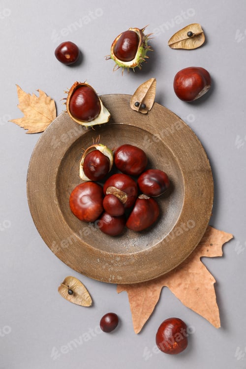 Preview: Brown, fresh chestnut fruits in a bowl with leaves