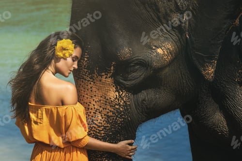 Preview: Woman in beautiful orange dress and mighty elephant