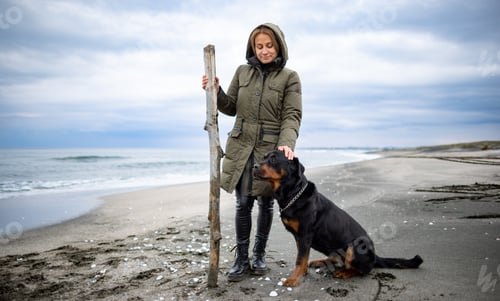 Preview: Woman playing with rottweiler dog in cold weather on the beach