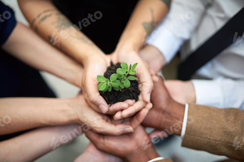 Preview: Committed to continual growth