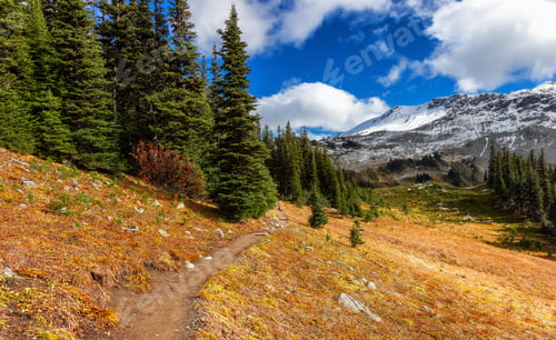 Preview: Hiking trail outdoors in Canadian nature. Sunny Fall Season