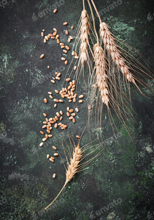 Preview: Wheat grains and spikelets on rusty background.