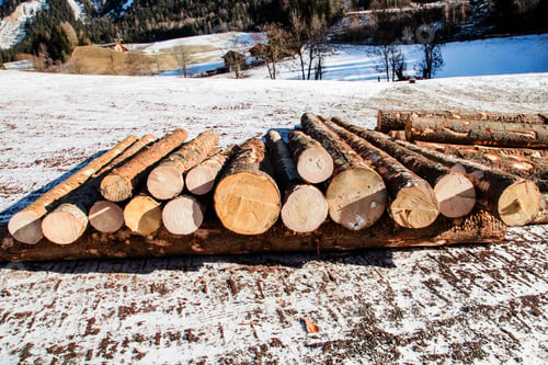 Preview: Woodpile with logs of the tree trunks