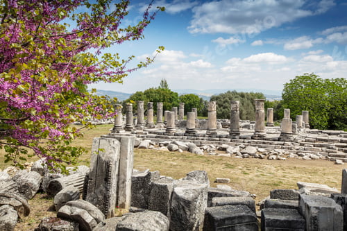 Preview: Ruins of the ancient sanctuary Lagina, Turkey