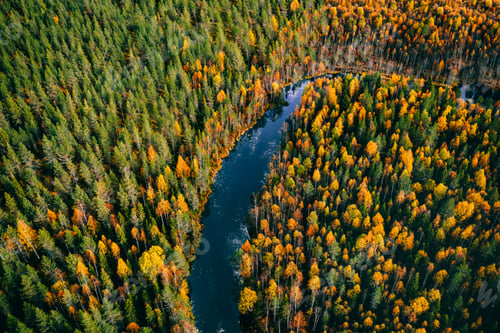 Preview: Aerial view of blue river flow through fall colorful forest. Autumn in Finland