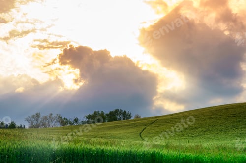 Preview: Rural landscape near Salsomaggiore, Parma, at springtime