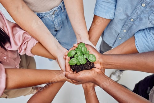 Preview: Shot of a group of unrecognizable people holding plants growing out of soil