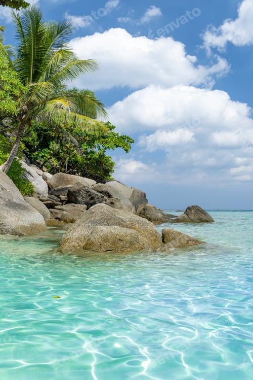 Preview: Tropical beach with palm trees