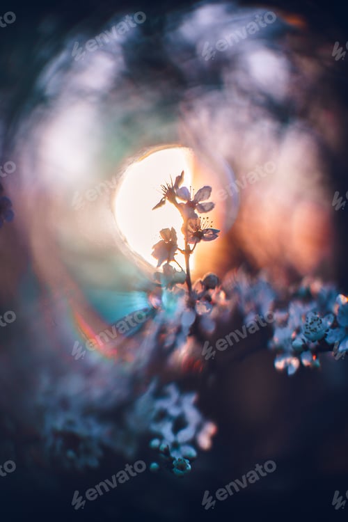 Preview: Vertical shot of a beautiful blossomed cherry tree was a beautiful spring, flowery background