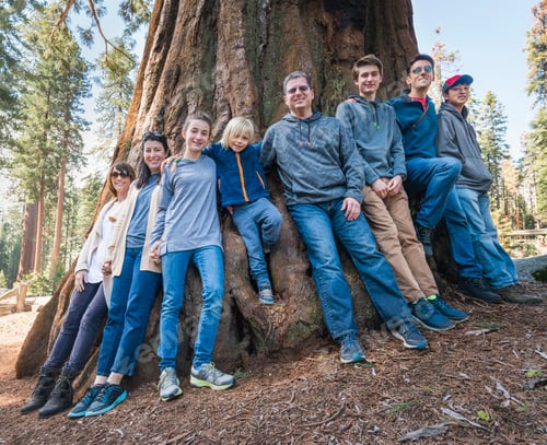 Preview: Portrait of group of people standing around large tree, Sequoia National Park, California, USA