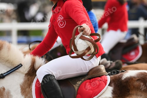 Preview: Children on horses playing horseball