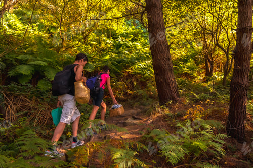 Preview: A young couple walking in the mountains towards a beautiful summer picnic