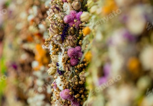 Preview: Mix of a dry flowers for sale at the farmer's market.