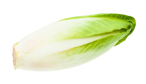 Preview: ripe fresh Belgian endive (white chicory) isolated
