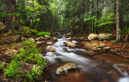 Preview: A Creative Acadia,Usa pictures