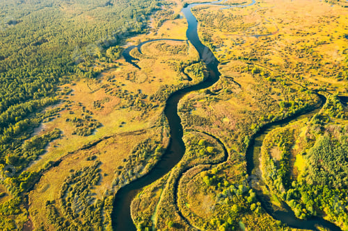 Preview: Aerial View Green Forest Woods And River Landscape In Sunny Summer Day. Top View Of Beautiful