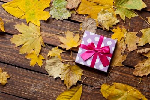 Preview: Gift box and leafs