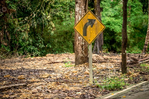 Preview: road sign turn