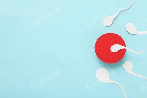 Preview: Fertilization concept, ovulation period, sperm and egg.