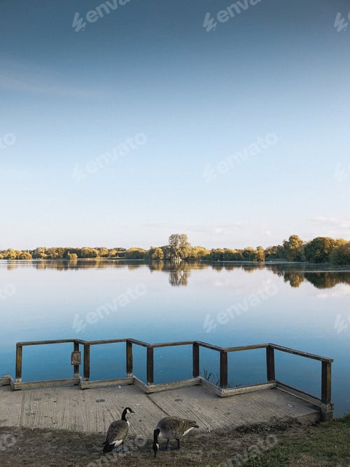 Preview: Watermead Water