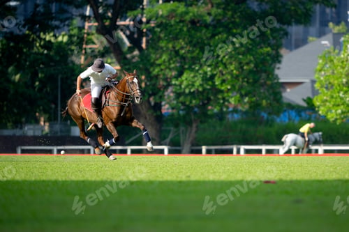 Preview: Polo players riding horses on the field,The polo pony running in match.