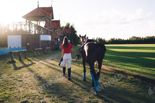 Preview: Faceless horsewoman walking mare with reins in nature