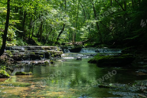 Preview: Beautiful scenery of a river surrounded by greenery during daytime