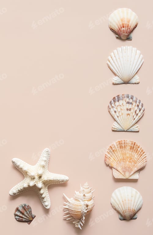 Preview: Sea shells randomly placed on beige background.