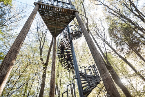 Preview: Rope Jumping tower in the forest