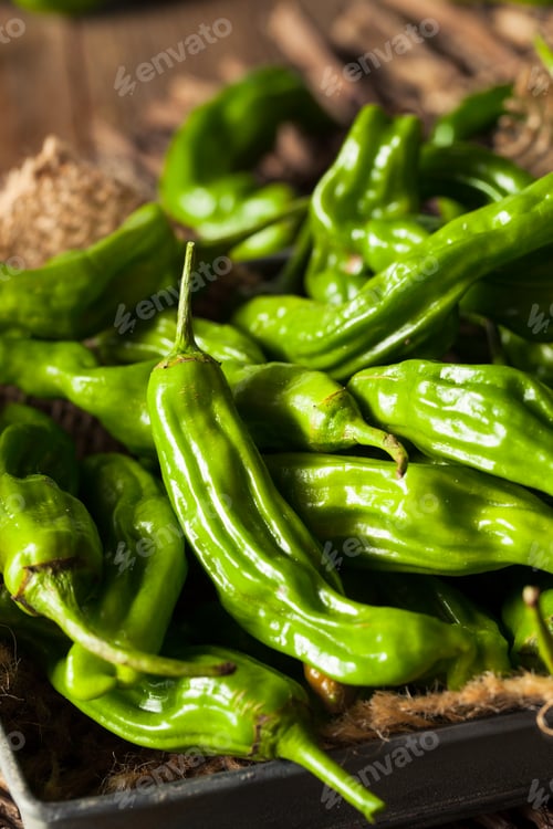 Preview: Raw Organic Green Shashito Peppers