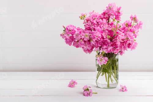 Preview: Bouquet of flowers matthiola