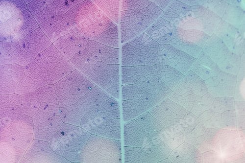 Preview: Purple leaf pattern textured backdrop