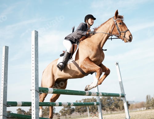 Preview: Over we go. Full length shot of a young female rider jumping over a hurdle on her horse.