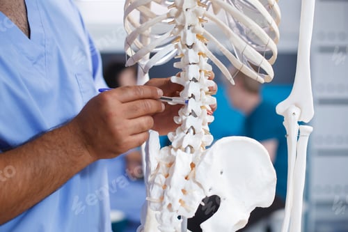 Preview: Chiropractor diagnosing physical defects